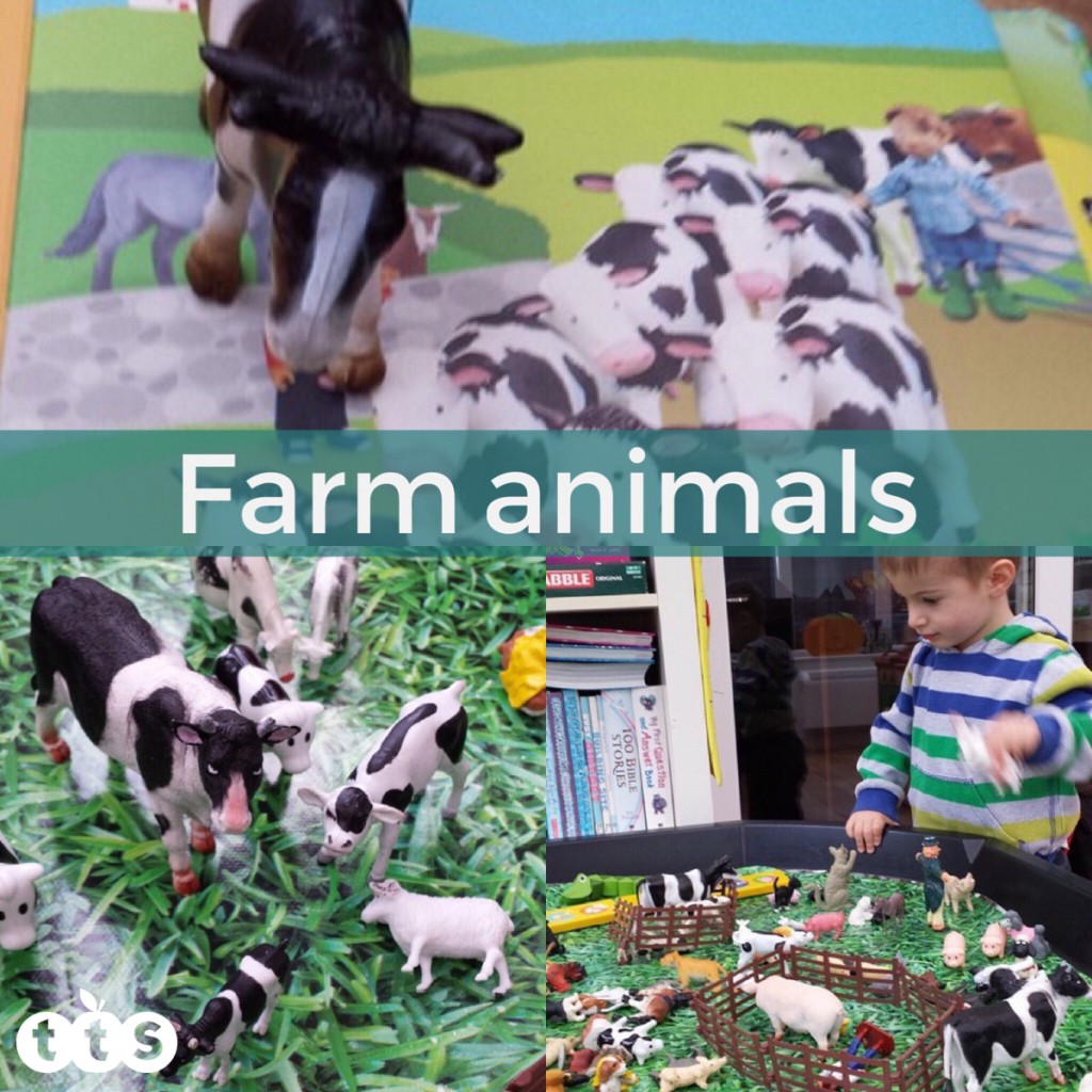 Farm animals in a tuff spot tray
