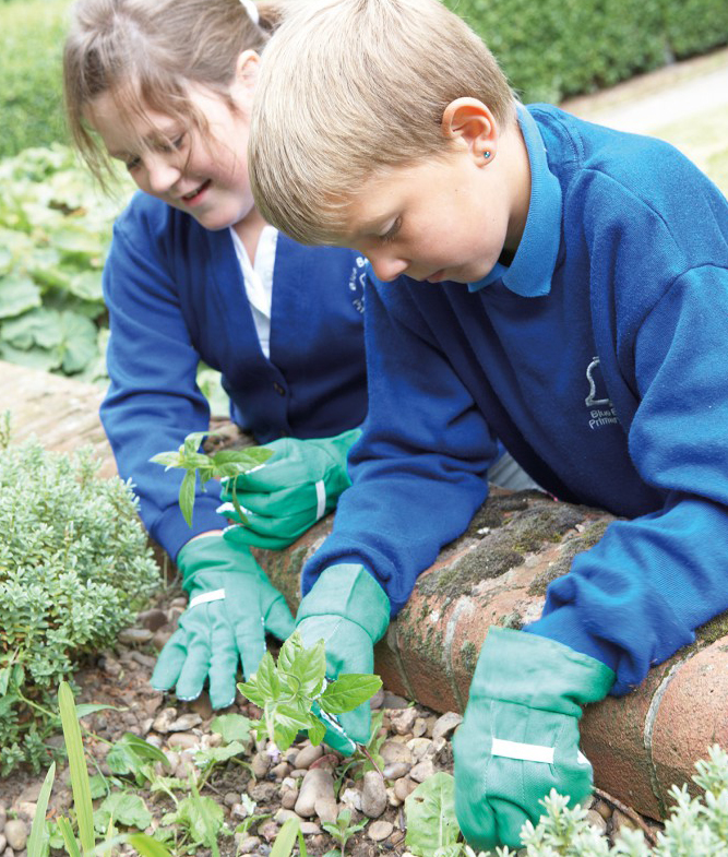 School gardening for science outdoors