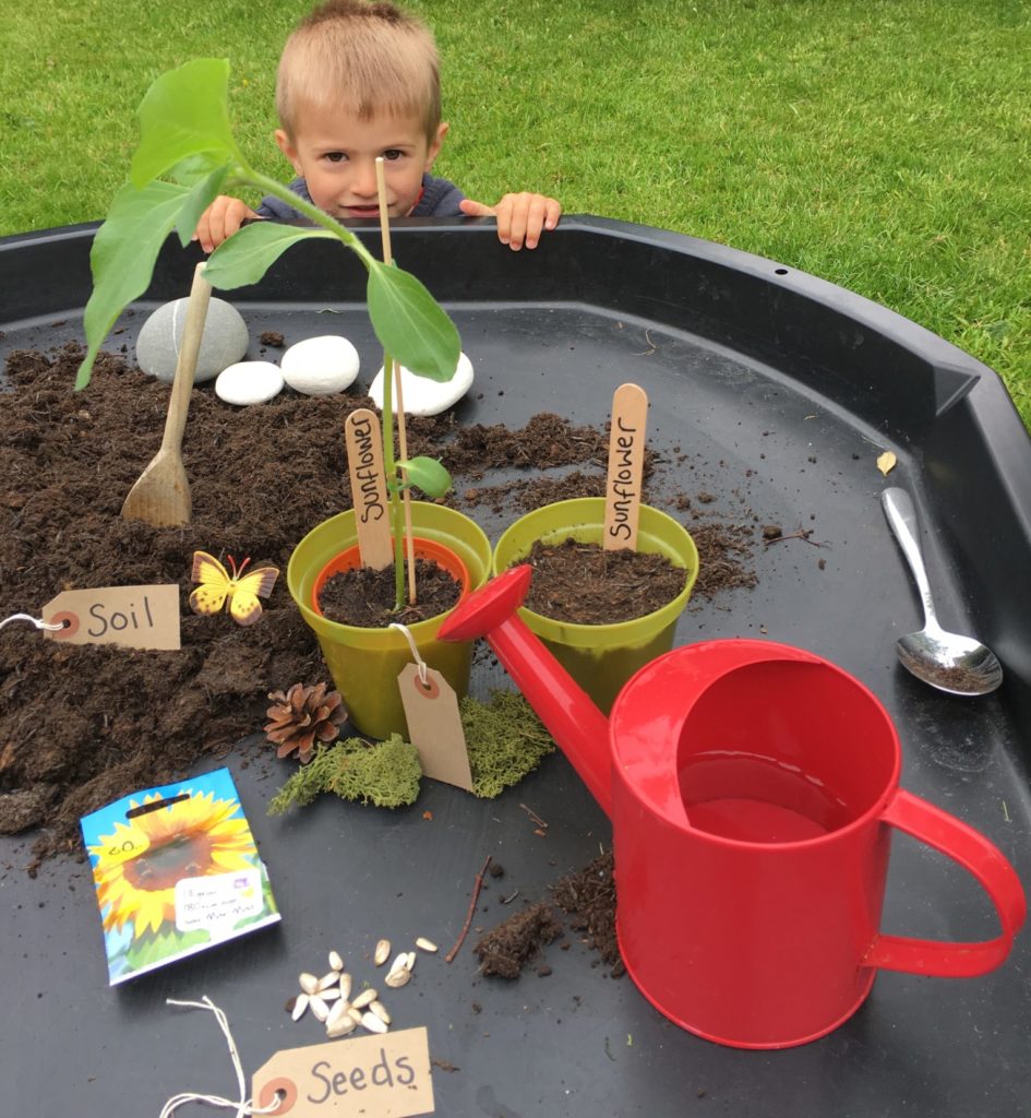 planting seeds in the tuff spot tray by Lottie Makes