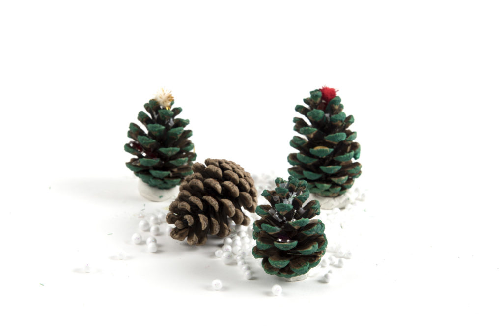 Painted pine cones