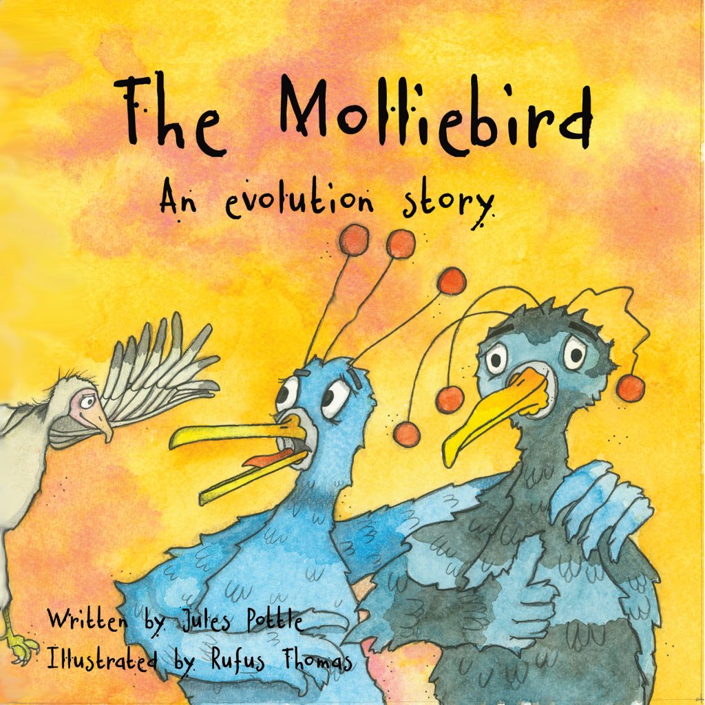 The Molliebird - Science Through Stories
