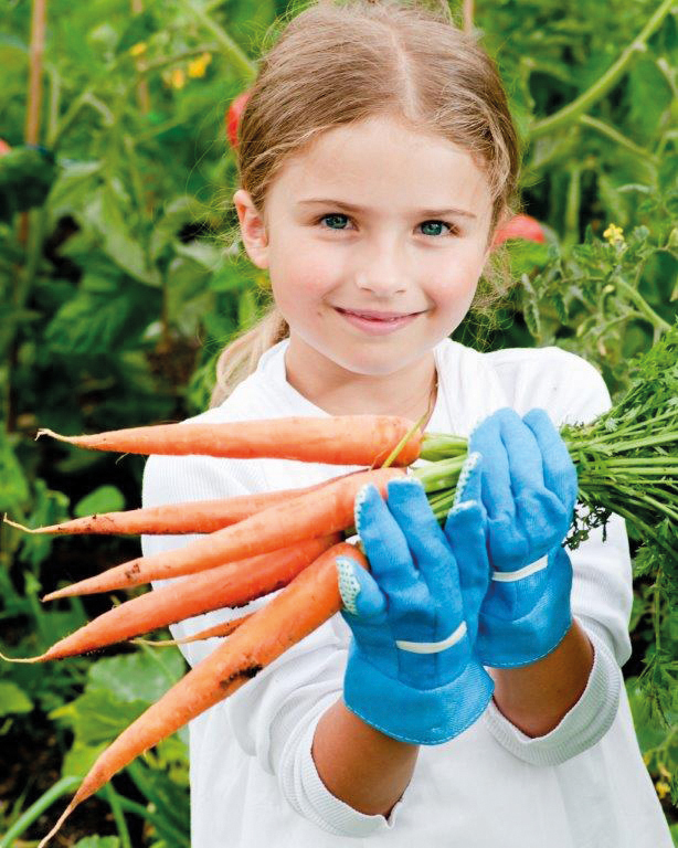 Growing Vegetables at School