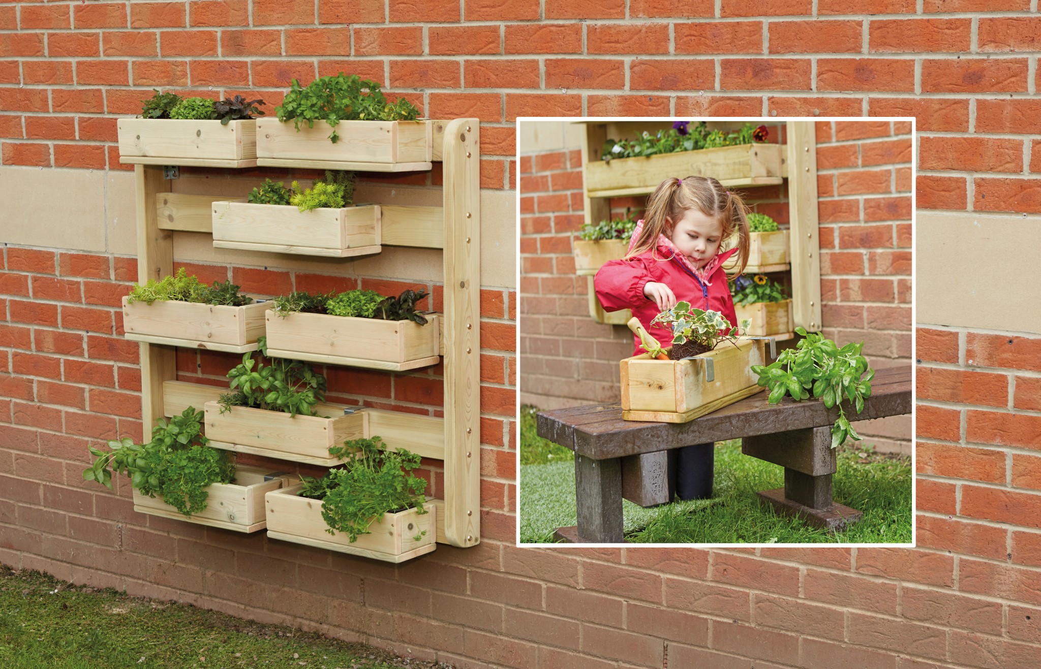 School garden