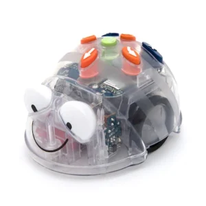 Photograph of TTS developed Blue-Bot robot