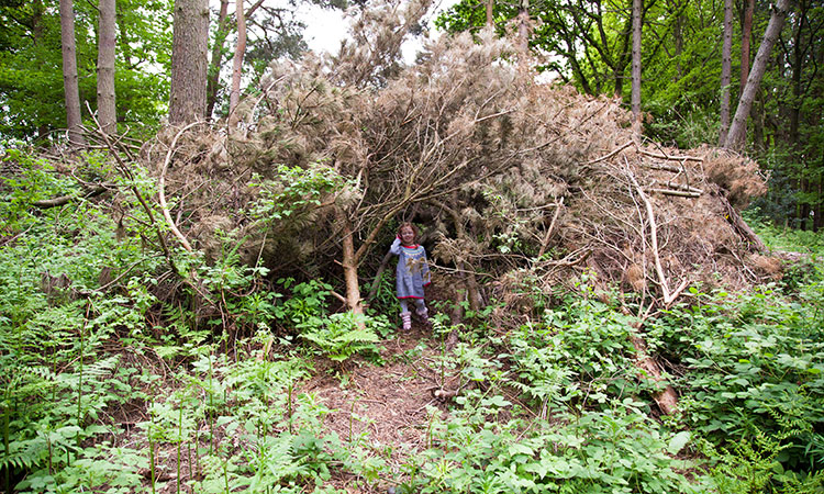 Woodland Den outdoor play