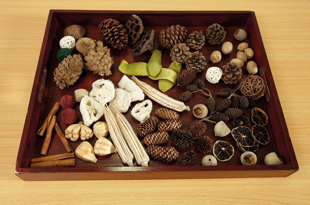 Natural sorting tray