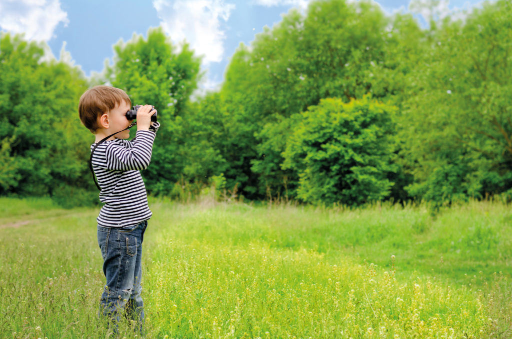 How to Start Birding with Your Kids - Childhood By Nature