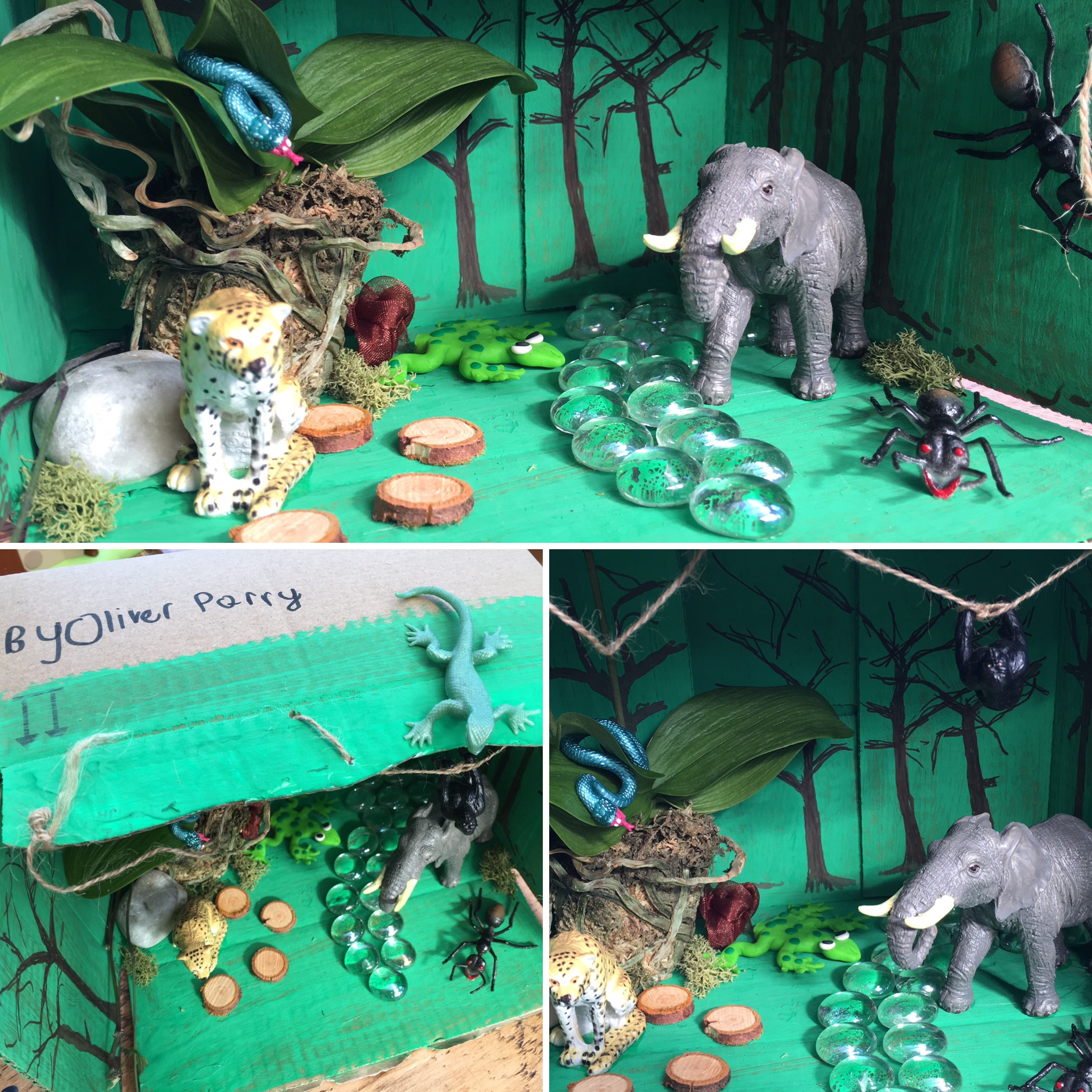 Story boxes. Story Shoebox Dioramas. Making Diorama book. Rainforest layers Diorama. Shoebox Dioramas Narnia.