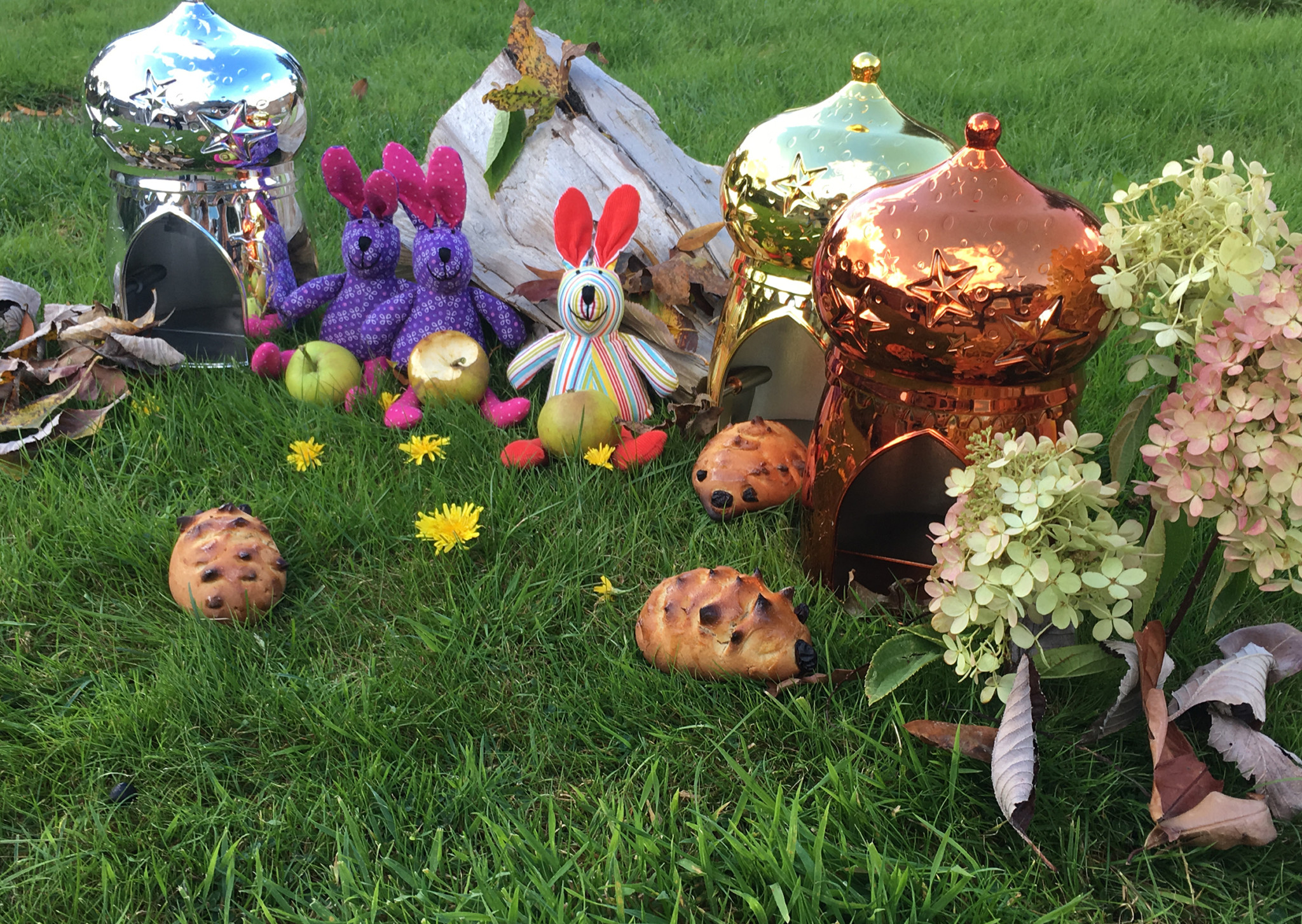 hedgehog harvest baking