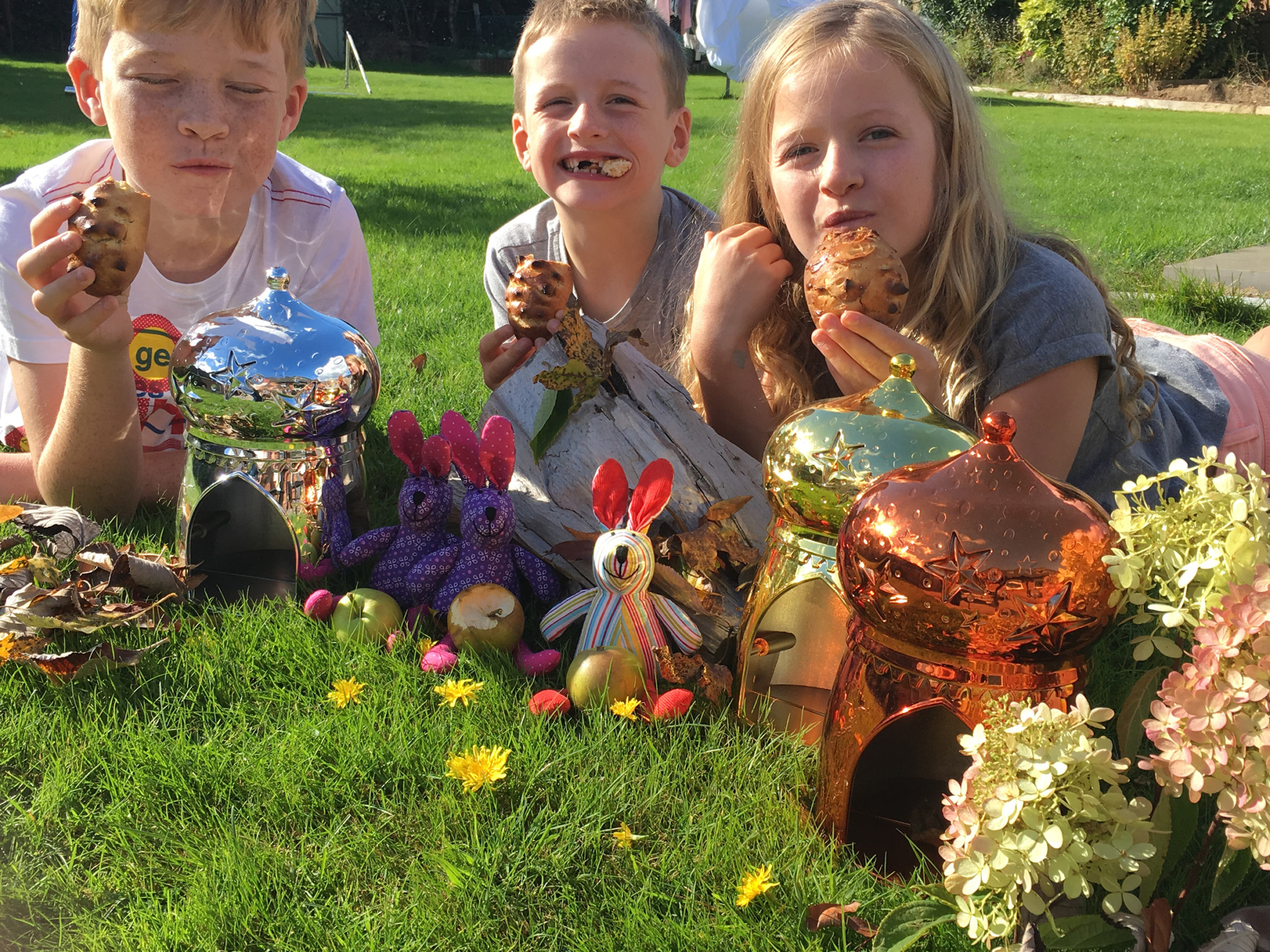 hedgehog harvest baking