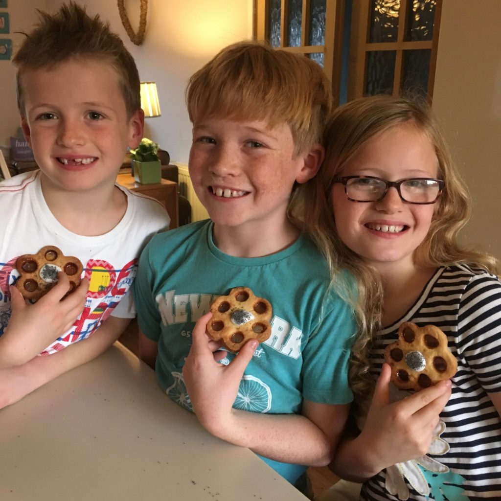 remembrance day biscuits