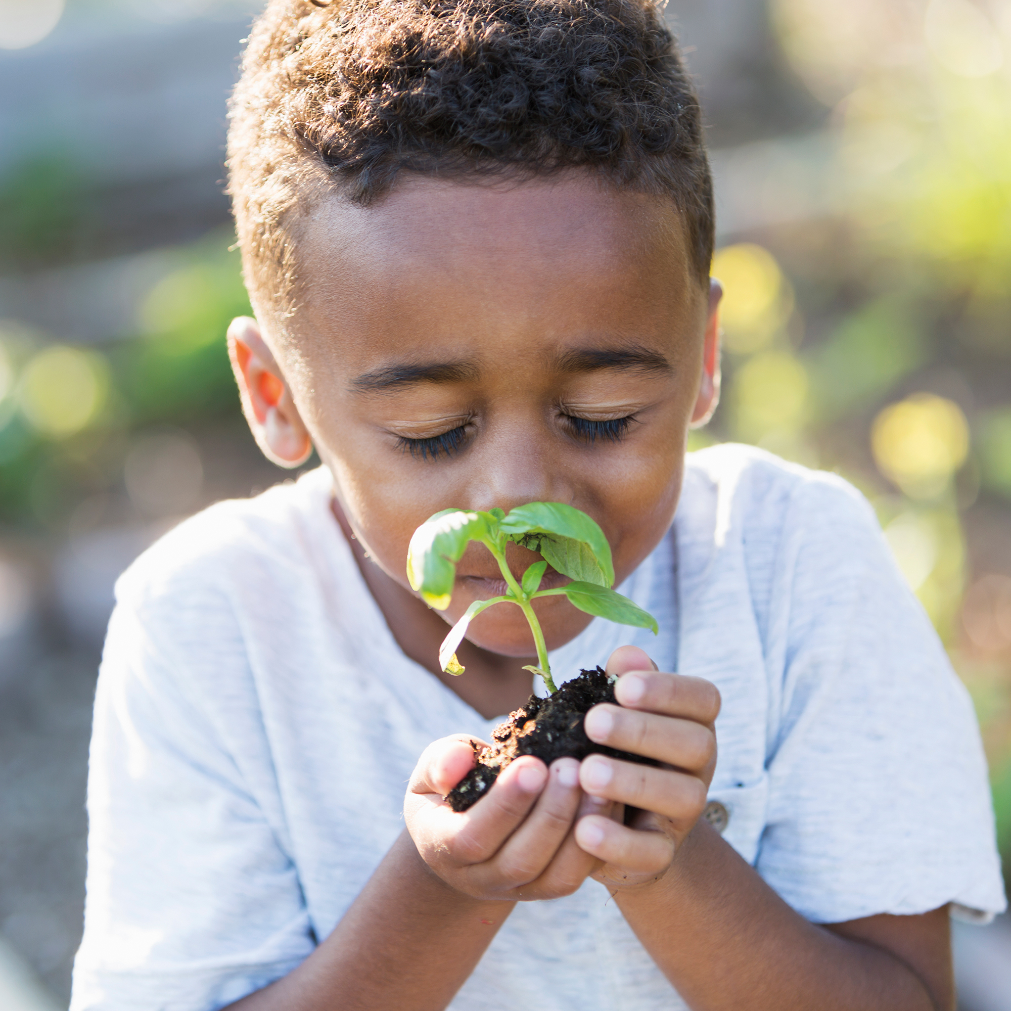 composting and planting