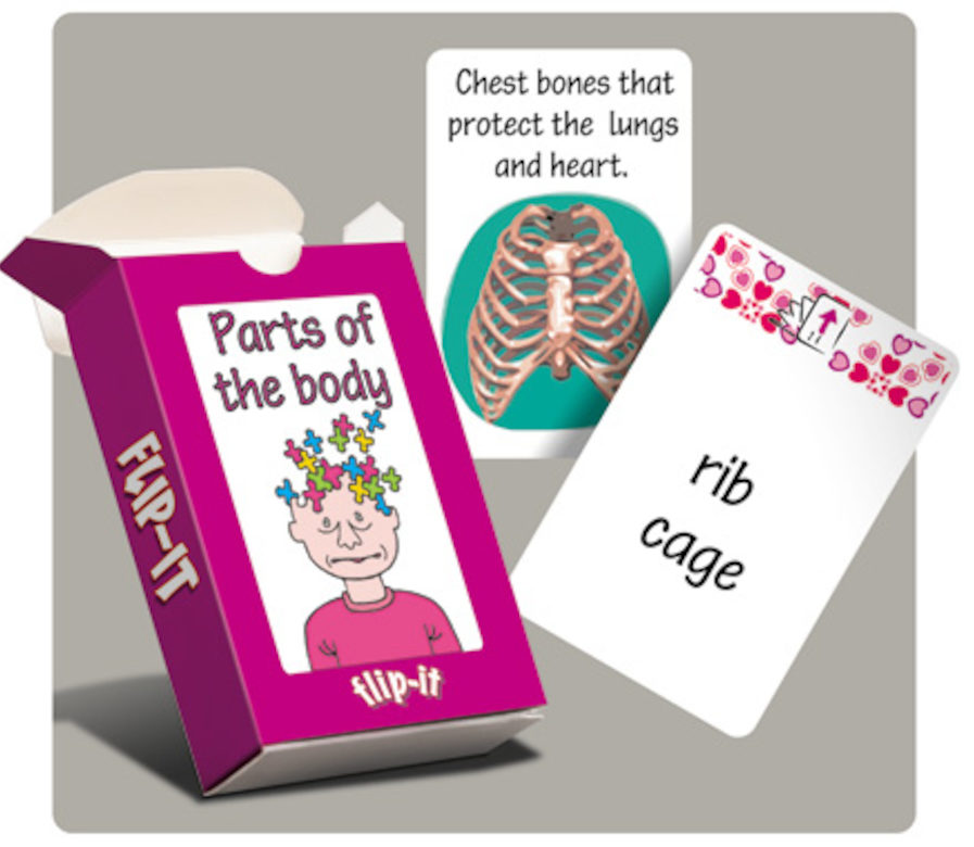 Parts of the body flip it cards