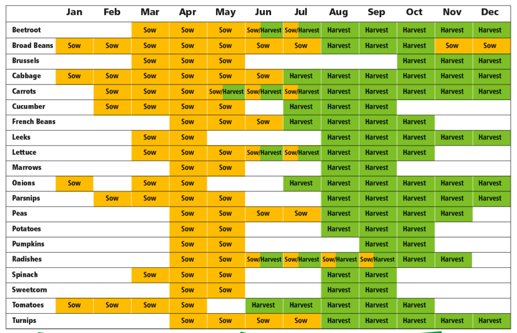 Vegetable sowing and growing guide