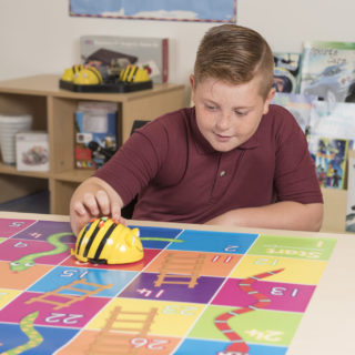 Bee-Bot - the story behind our TTS developed award winning programmable ...