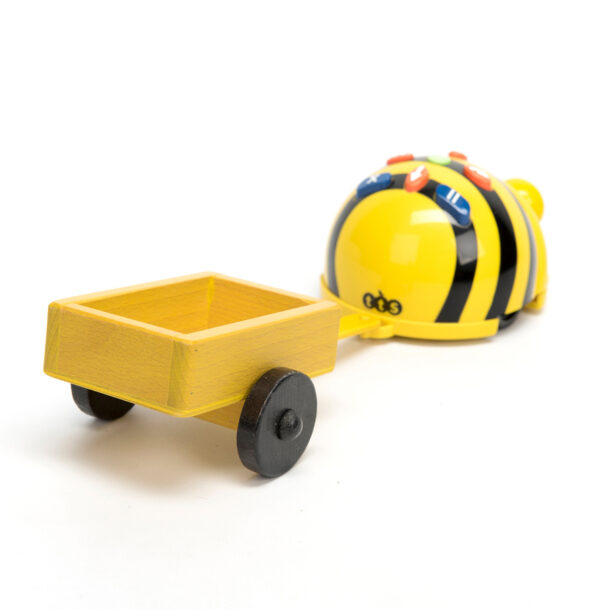 Bee-Bot - A Teacher's Guide (Updated May 2025)