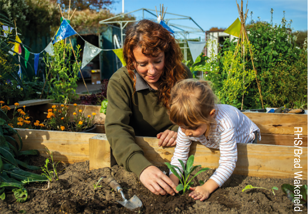 Growing the next generation - RHS campaign for School Gardening
