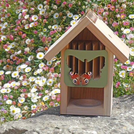 Image shows a Butterfly House in a garden setting with a butterfly perched on the edge of the butterfly house. 