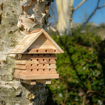 Photograph showing a solitary bee flip top hive on a tree. 