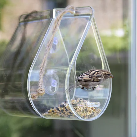 Photograph showing a bird feeding from a see through window bird feeder attached to a window.