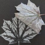 Mono-Print Leaf Card Step 3a