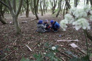 Forest school freedom to play