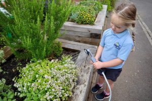 Eco-friendly activities - watering a community garden