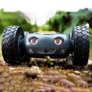 Rugged Robot
