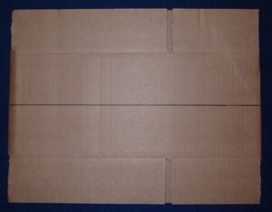 Opened cardboard box