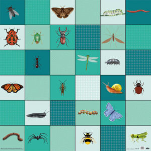 Minibeast Mat