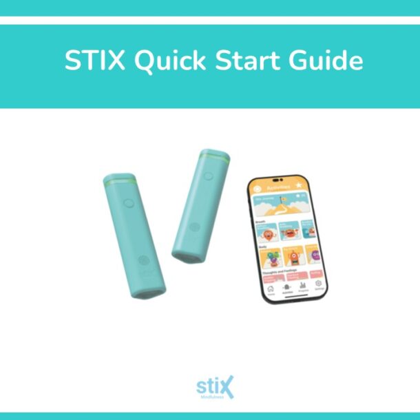 STIX Quick Start Guide